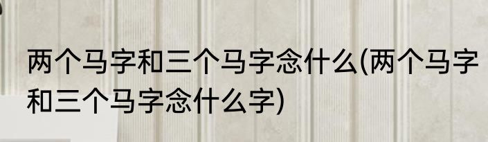 两个马字和三个马字念什么(两个马字和三个马字念什么字)