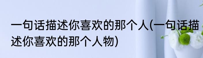 一句话描述你喜欢的那个人(一句话描述你喜欢的那个人物)