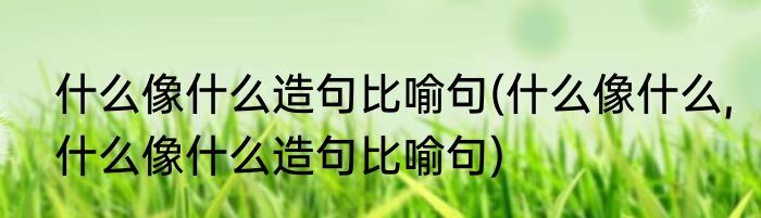 什么像什么造句比喻句(什么像什么,什么像什么造句比喻句)