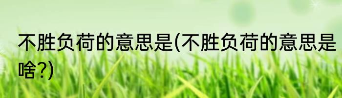 不胜负荷的意思是(不胜负荷的意思是啥?)