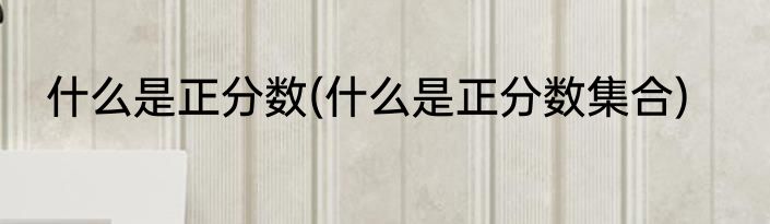 什么是正分数(什么是正分数集合)