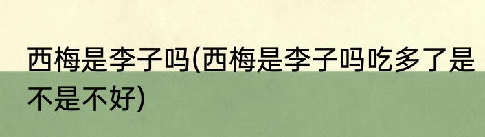 西梅是李子吗(西梅是李子吗吃多了是不是不好)