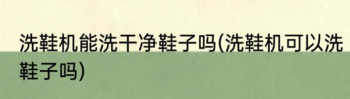 洗鞋机能洗干净鞋子吗(洗鞋机可以洗鞋子吗)