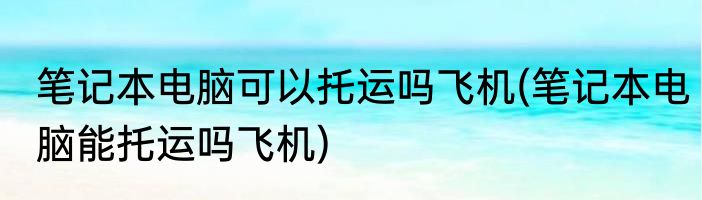 笔记本电脑可以托运吗飞机(笔记本电脑能托运吗飞机)