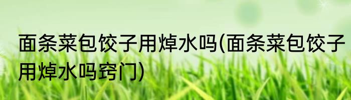 面条菜包饺子用焯水吗(面条菜包饺子用焯水吗窍门)