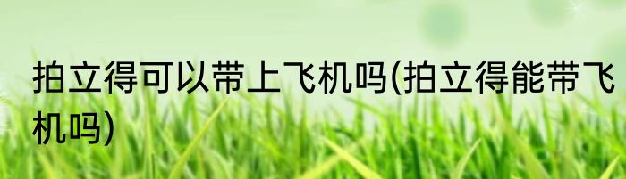 拍立得可以带上飞机吗(拍立得能带飞机吗)