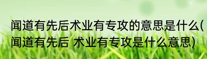 闻道有先后术业有专攻的意思是什么(闻道有先后 术业有专攻是什么意思)