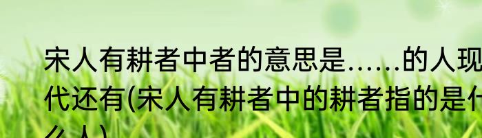 宋人有耕者中者的意思是……的人现代还有(宋人有耕者中的耕者指的是什么人)
