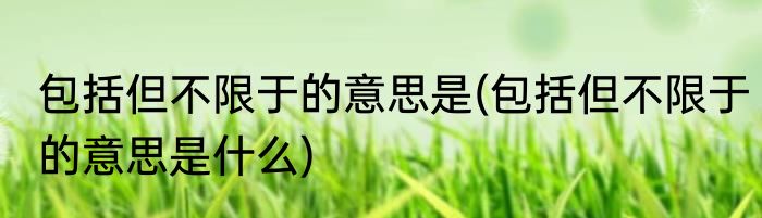 包括但不限于的意思是(包括但不限于的意思是什么)