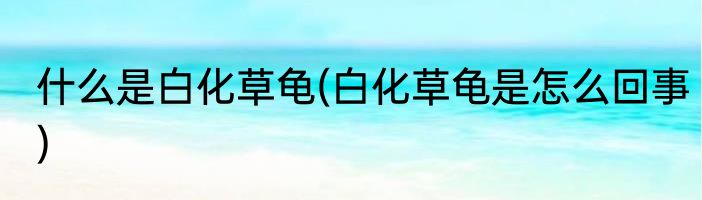 什么是白化草龟(白化草龟是怎么回事)