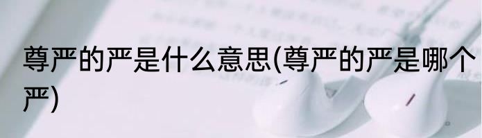 尊严的严是什么意思(尊严的严是哪个严)