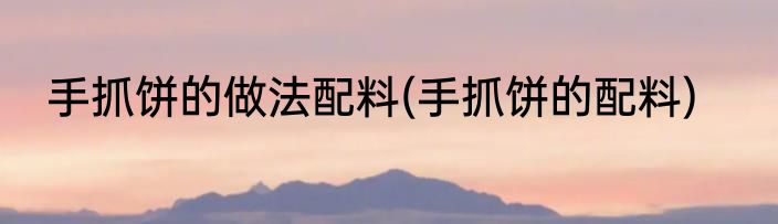 手抓饼的做法配料(手抓饼的配料)