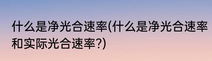 什么是净光合速率(什么是净光合速率和实际光合速率?)