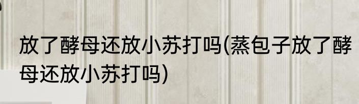 放了酵母还放小苏打吗(蒸包子放了酵母还放小苏打吗)