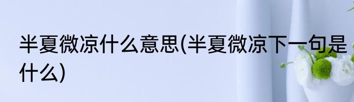 半夏微凉什么意思(半夏微凉下一句是什么)