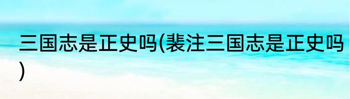 三国志是正史吗(裴注三国志是正史吗)