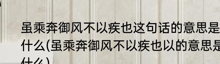 虽乘奔御风不以疾也这句话的意思是什么(虽乘奔御风不以疾也以的意思是什么)