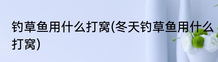 钓草鱼用什么打窝(冬天钓草鱼用什么打窝)