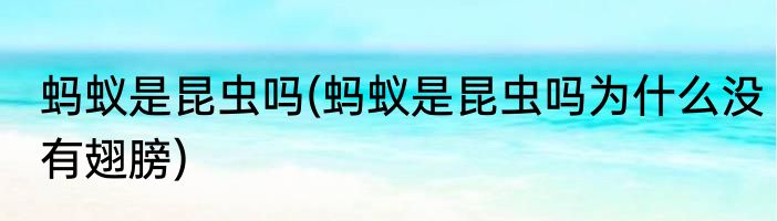 蚂蚁是昆虫吗(蚂蚁是昆虫吗为什么没有翅膀)