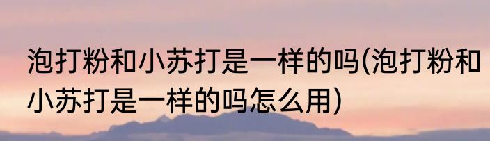 泡打粉和小苏打是一样的吗(泡打粉和小苏打是一样的吗怎么用)