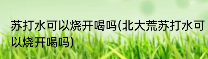 苏打水可以烧开喝吗(北大荒苏打水可以烧开喝吗)