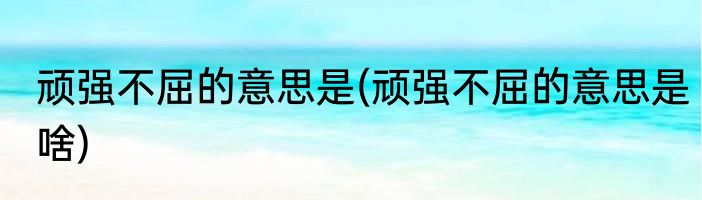 顽强不屈的意思是(顽强不屈的意思是啥)