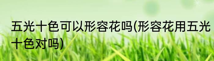 五光十色可以形容花吗(形容花用五光十色对吗)