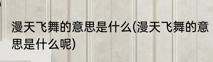 漫天飞舞的意思是什么(漫天飞舞的意思是什么呢)
