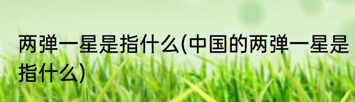 两弹一星是指什么(中国的两弹一星是指什么)
