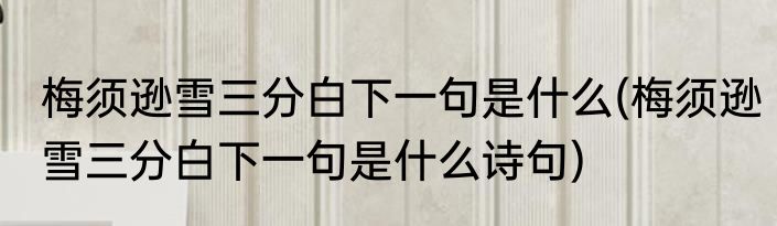 梅须逊雪三分白下一句是什么(梅须逊雪三分白下一句是什么诗句)
