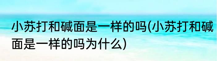 小苏打和碱面是一样的吗(小苏打和碱面是一样的吗为什么)