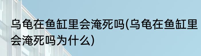 乌龟在鱼缸里会淹死吗(乌龟在鱼缸里会淹死吗为什么)
