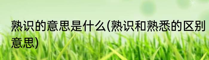 熟识的意思是什么(熟识和熟悉的区别意思)