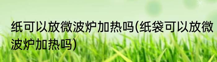 纸可以放微波炉加热吗(纸袋可以放微波炉加热吗)