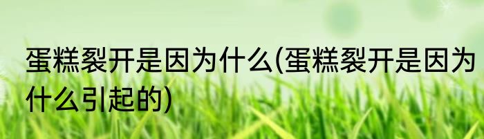 蛋糕裂开是因为什么(蛋糕裂开是因为什么引起的)