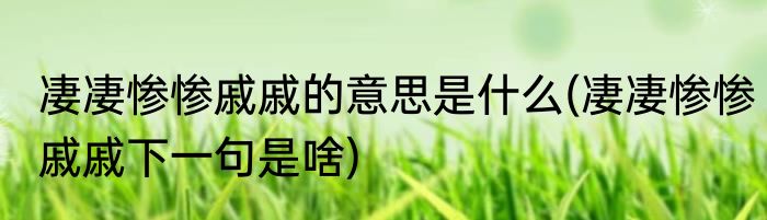 凄凄惨惨戚戚的意思是什么(凄凄惨惨戚戚下一句是啥)