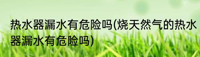 热水器漏水有危险吗(烧天然气的热水器漏水有危险吗)