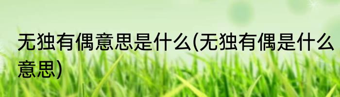 无独有偶意思是什么(无独有偶是什么意思)