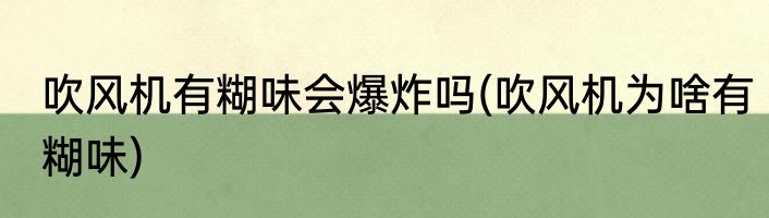 吹风机有糊味会爆炸吗(吹风机为啥有糊味)