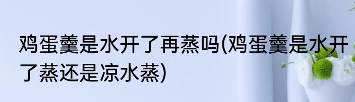 鸡蛋羹是水开了再蒸吗(鸡蛋羹是水开了蒸还是凉水蒸)