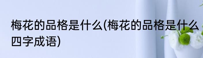 梅花的品格是什么(梅花的品格是什么四字成语)