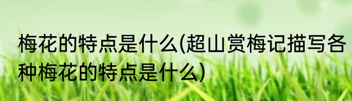 梅花的特点是什么(超山赏梅记描写各种梅花的特点是什么)
