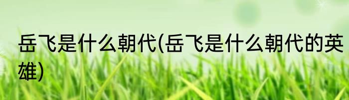 岳飞是什么朝代(岳飞是什么朝代的英雄)