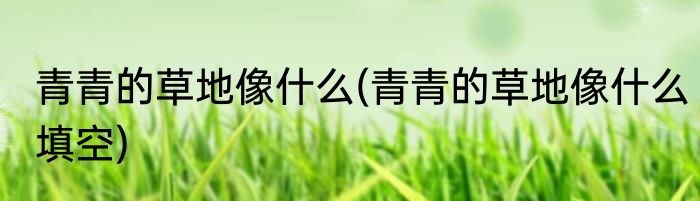 青青的草地像什么(青青的草地像什么填空)