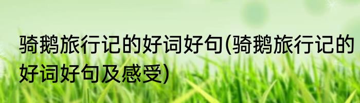 骑鹅旅行记的好词好句(骑鹅旅行记的好词好句及感受)