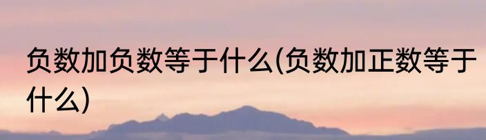 负数加负数等于什么(负数加正数等于什么)