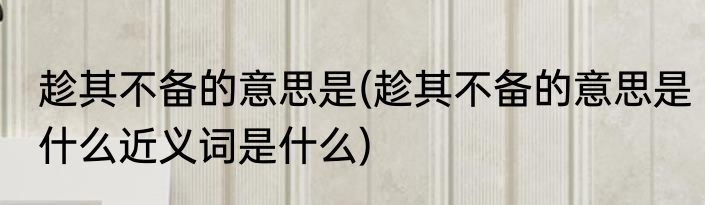 趁其不备的意思是(趁其不备的意思是什么近义词是什么)