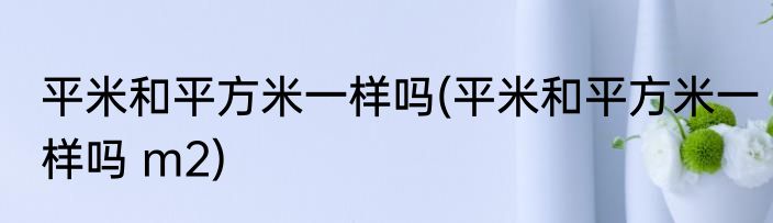 平米和平方米一样吗(平米和平方米一样吗 m2)
