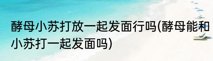 酵母小苏打放一起发面行吗(酵母能和小苏打一起发面吗)