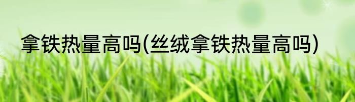 拿铁热量高吗(丝绒拿铁热量高吗)